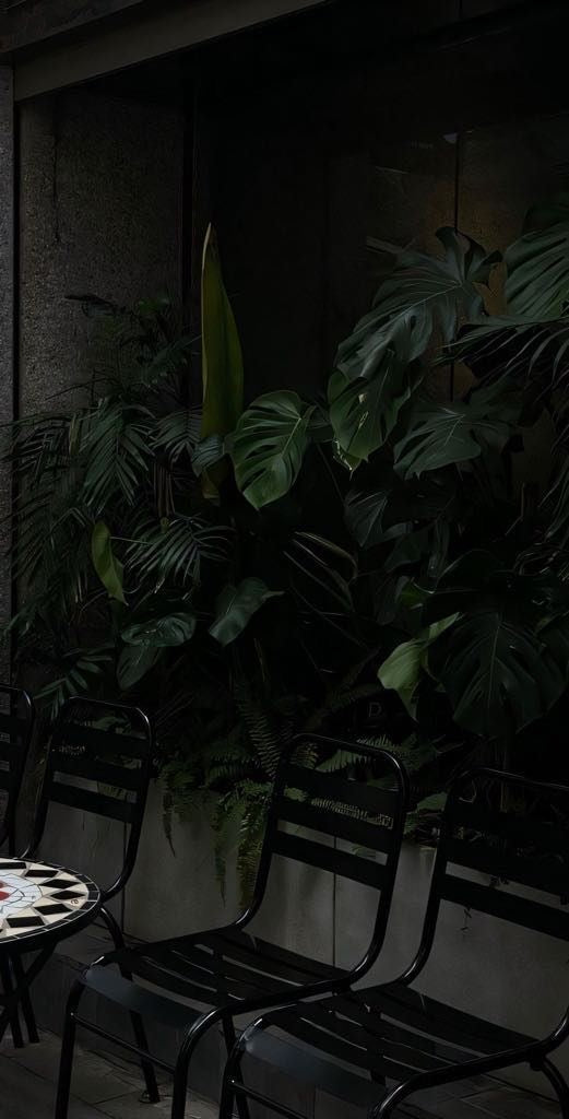 Mais Verdade. Menos Show off.